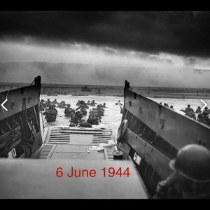 Meet your Posher, Mona